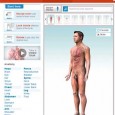 Herramienta interactiva que permite visualizar todo el cuerpo humano (femenino y masculino) o partes de su anatomía (órganos, huesos, músculos) en 3D.  Posee un buscador y un menú de órganos […]