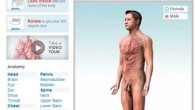 Herramienta interactiva que permite visualizar todo el cuerpo humano (femenino y masculino) o partes de su anatomía (órganos, huesos, músculos) en 3D.  Posee un buscador y un menú de órganos […]